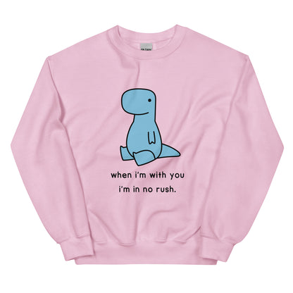 No Rush Dino | sweatshirt